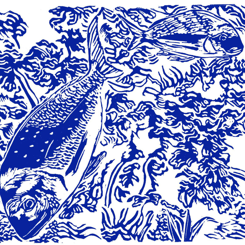 Snappy and the kelps