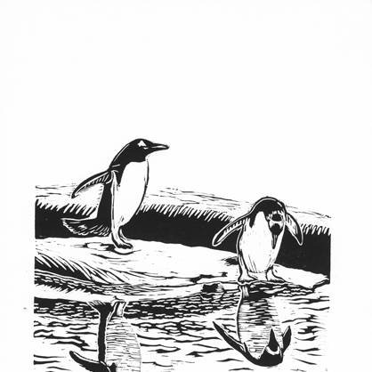 What you see is what you get